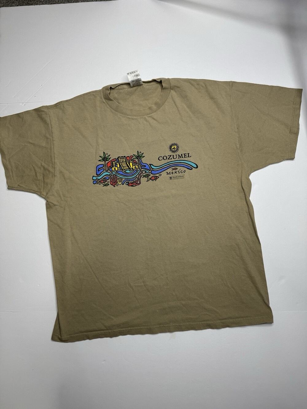 Vintage Y2K Cozumel Mexico T Shirt Mens XL Fruit Loom Heavy Cotton Graphic Tee